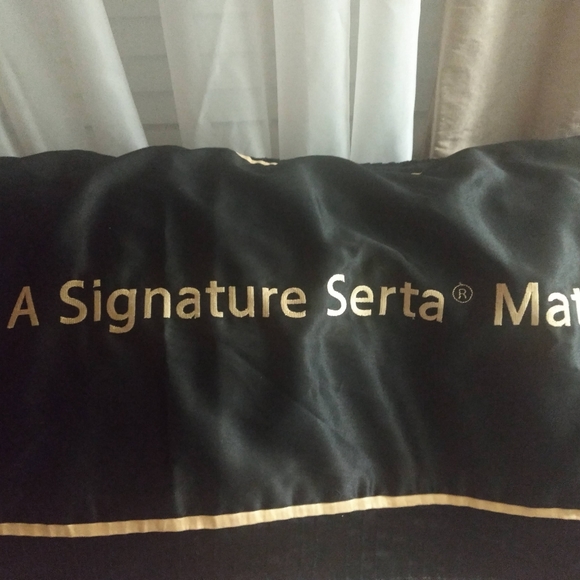 โคTRUMP DECOR - Picture 2 of 4